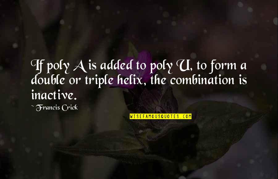 Crick's Quotes By Francis Crick: If poly A is added to poly U,