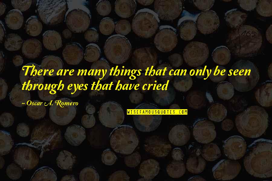 Cried Eyes Quotes By Oscar A. Romero: There are many things that can only be