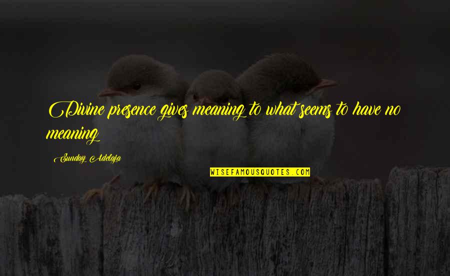 Criers Fcu Quotes By Sunday Adelaja: Divine presence gives meaning to what seems to Criers Fcu Quotes By Sunday Adelaja: Divine presence gives meaning to what seems to