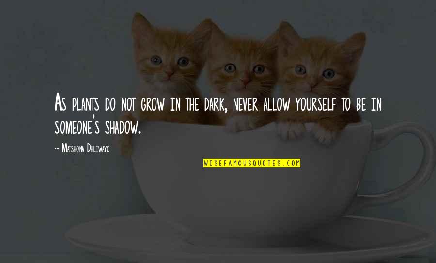 Crik Quotes By Matshona Dhliwayo: As plants do not grow in the dark,