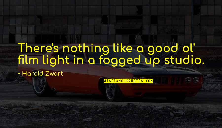 Crikey Steveirwini Quotes By Harald Zwart: There's nothing like a good ol' film light