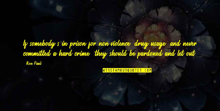 Crime And Violence Quotes By Ron Paul: If somebody's in prison for non-violence, drug usage,
