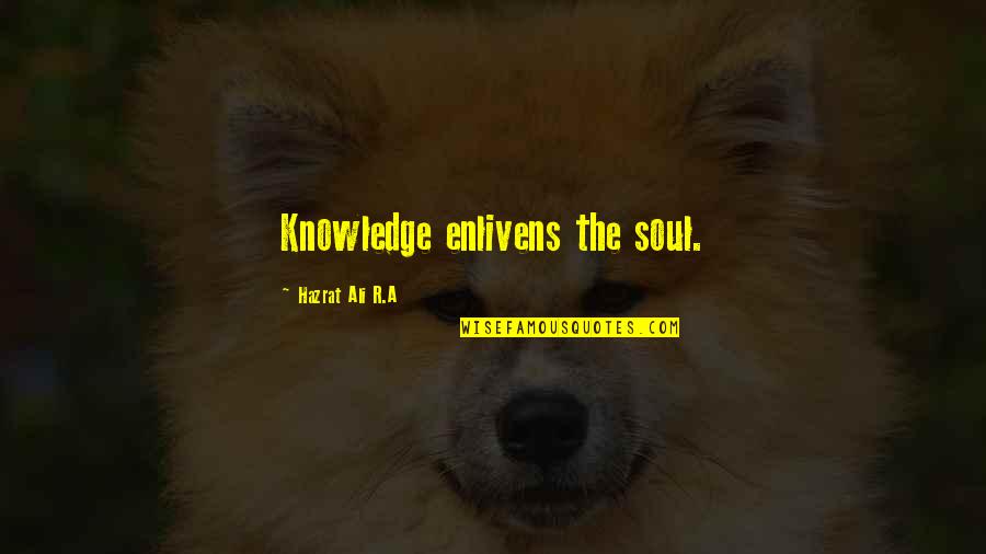 Crime Rebellion Quotes By Hazrat Ali R.A: Knowledge enlivens the soul.