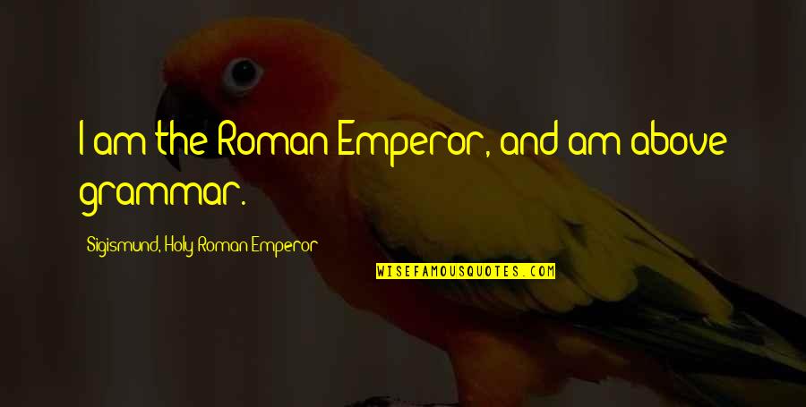 Crime Wave Quotes By Sigismund, Holy Roman Emperor: I am the Roman Emperor, and am above