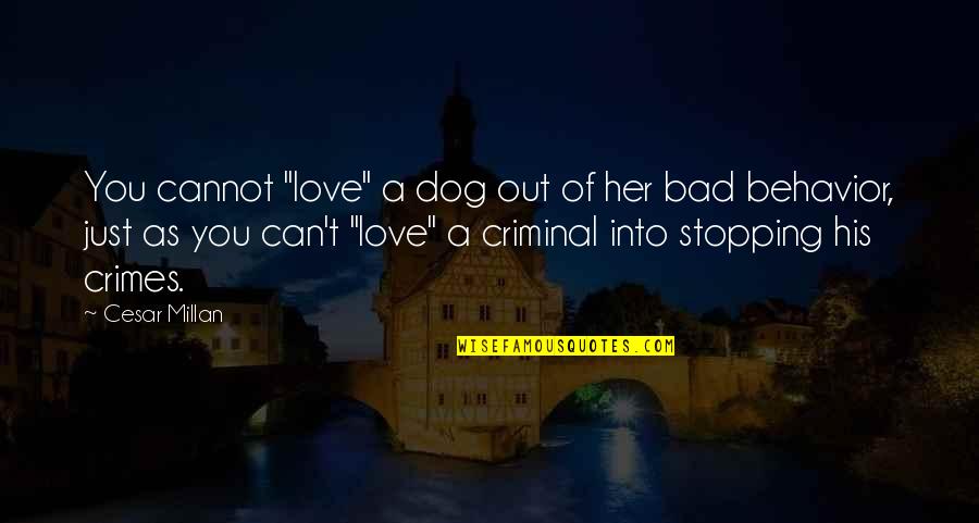Criminal Behavior Quotes By Cesar Millan: You cannot "love" a dog out of her Criminal Behavior Quotes By Cesar Millan: You cannot "love" a dog out of her
