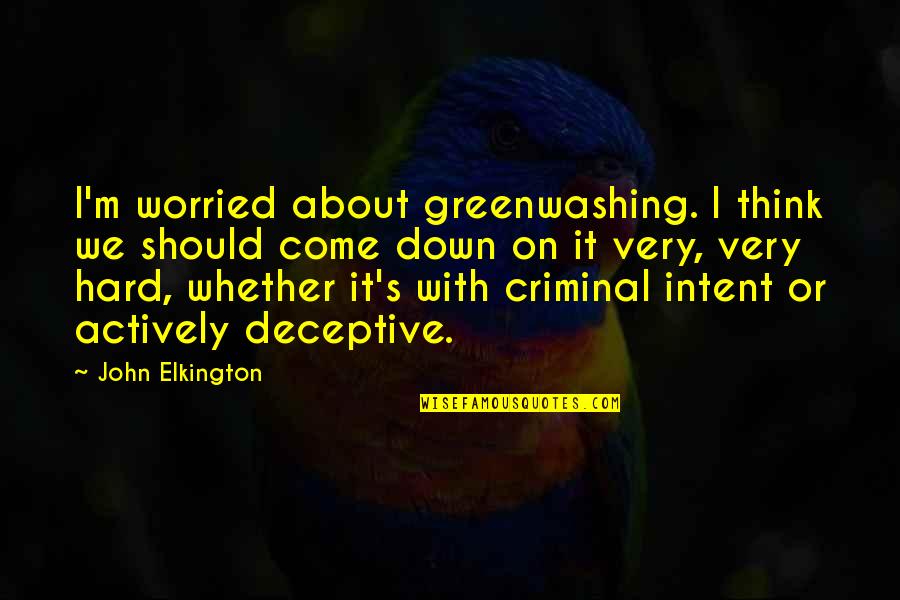 Criminal Intent Quotes By John Elkington: I'm worried about greenwashing. I think we should