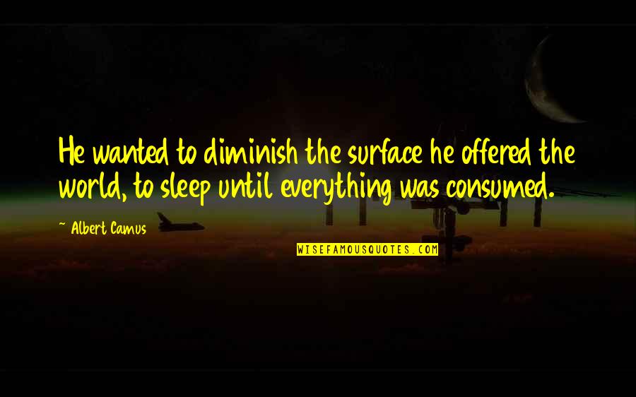 Criminal Lawyers Quotes By Albert Camus: He wanted to diminish the surface he offered