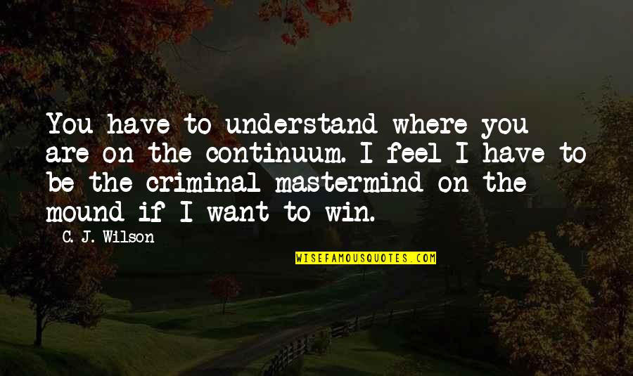 Criminal Mastermind Quotes By C. J. Wilson: You have to understand where you are on