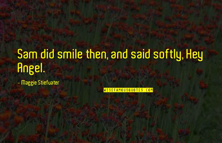 Criminal Minds The Instincts Quotes By Maggie Stiefvater: Sam did smile then, and said softly, Hey