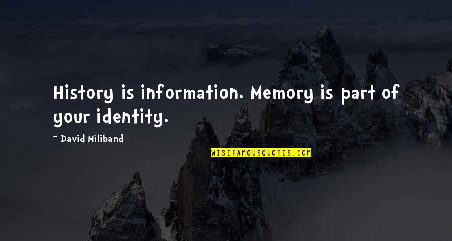 Criminal Sentencing Quotes By David Miliband: History is information. Memory is part of your