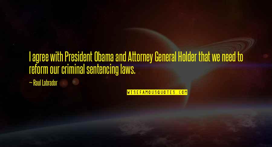 Criminal Sentencing Quotes By Raul Labrador: I agree with President Obama and Attorney General