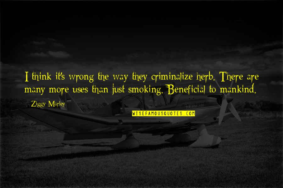 Criminalize Quotes By Ziggy Marley: I think it's wrong the way they criminalize