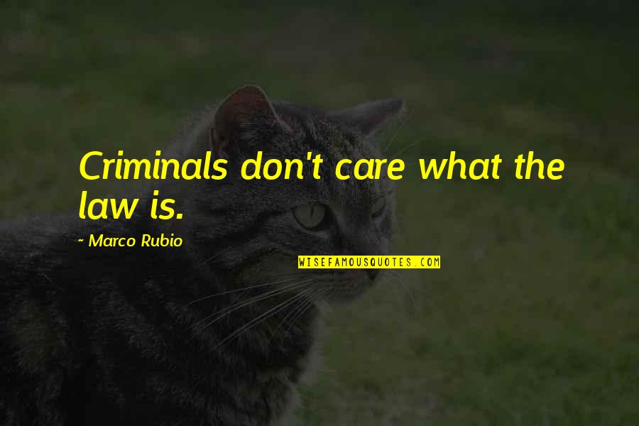 Criminals Quotes By Marco Rubio: Criminals don't care what the law is.