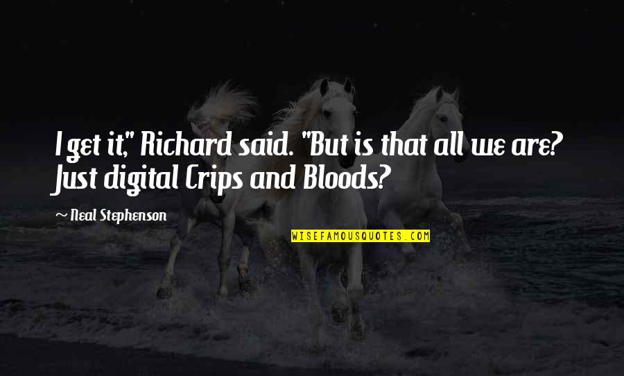 Crips Vs Bloods Quotes By Neal Stephenson: I get it," Richard said. "But is that