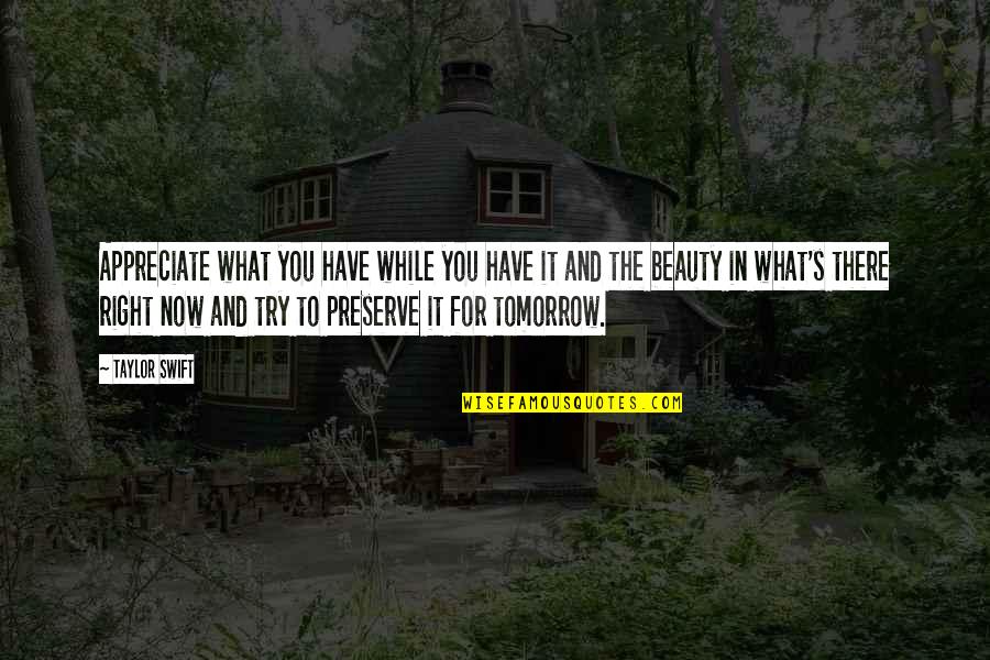 Crisaide Mendes Quotes By Taylor Swift: Appreciate what you have while you have it Crisaide Mendes Quotes By Taylor Swift: Appreciate what you have while you have it