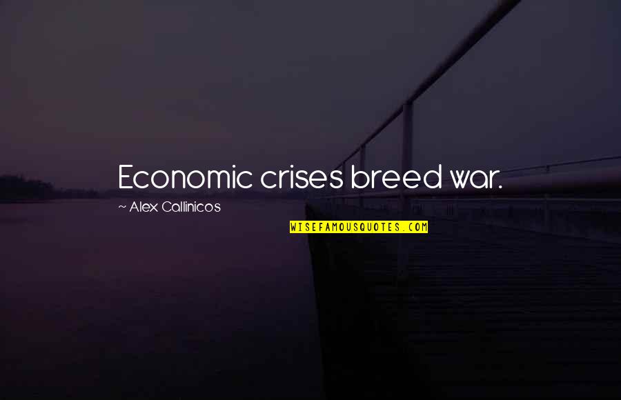 Crises Quotes By Alex Callinicos: Economic crises breed war.