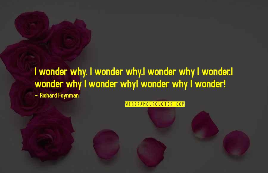 Crisisof Quotes By Richard Feynman: I wonder why. I wonder why.I wonder why