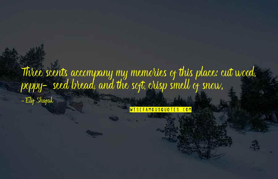 Crisp'd Quotes By Elif Shafak: Three scents accompany my memories of this place: Crisp'd Quotes By Elif Shafak: Three scents accompany my memories of this place: