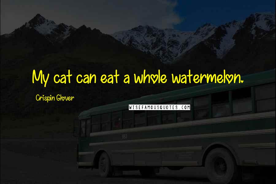 Crispin Glover quotes: My cat can eat a whole watermelon.