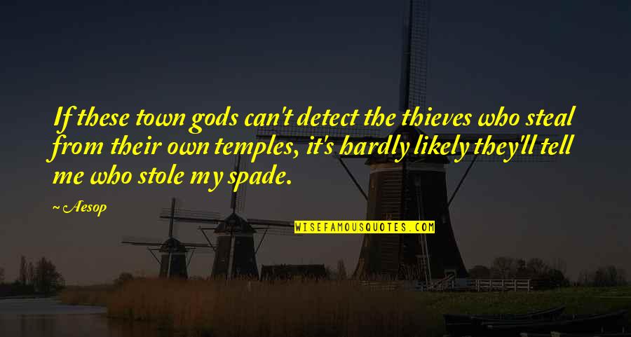 Crispness Vs Crispiness Quotes By Aesop: If these town gods can't detect the thieves