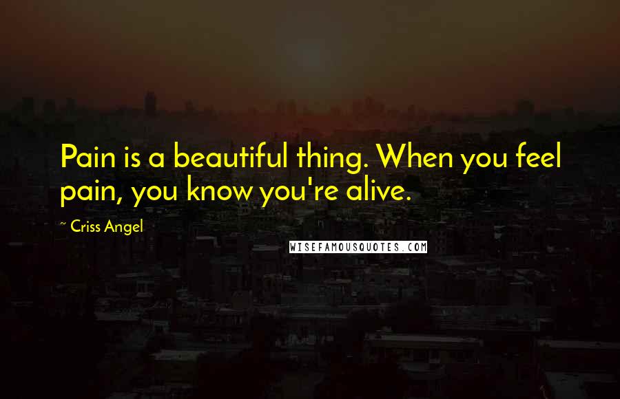 Criss Angel quotes: Pain is a beautiful thing. When you feel pain, you know you're alive.