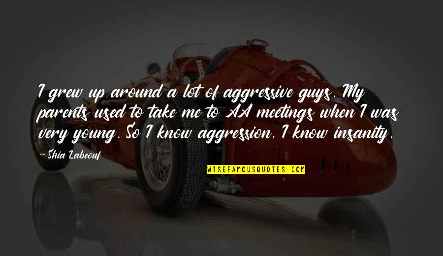 Cristalino Lodge Quotes By Shia Labeouf: I grew up around a lot of aggressive