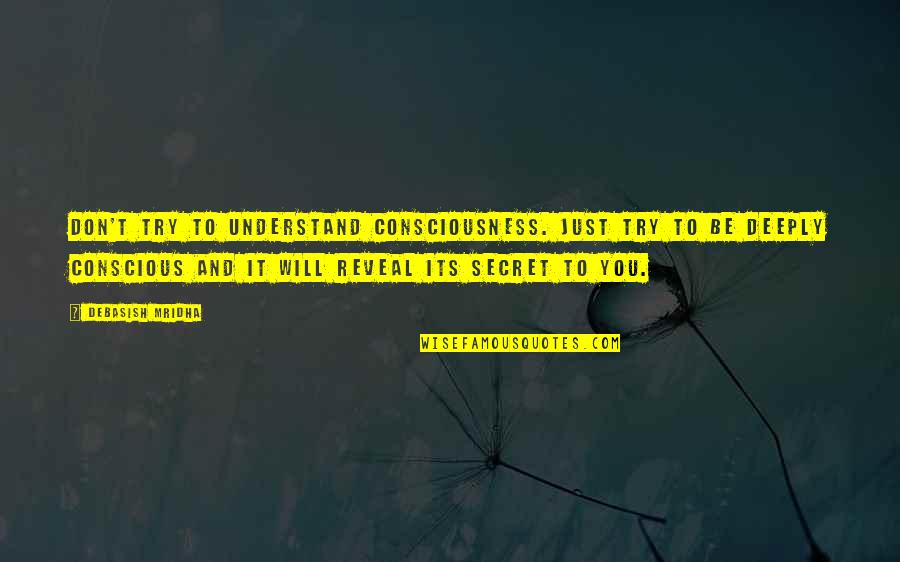 Cristiandad En Quotes By Debasish Mridha: Don't try to understand consciousness. Just try to