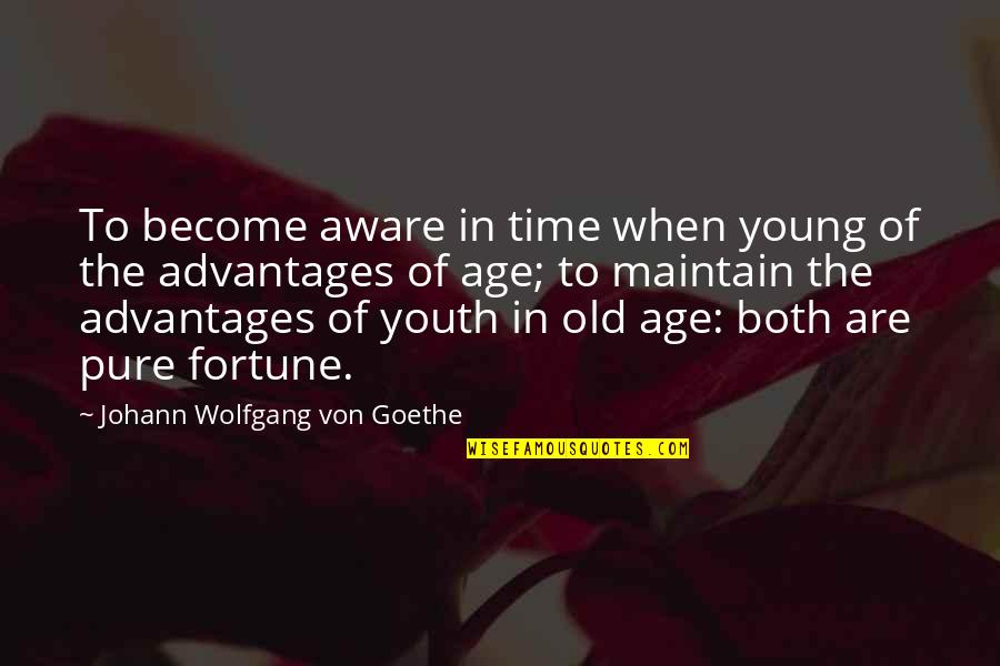 Cristin Milioti Quotes By Johann Wolfgang Von Goethe: To become aware in time when young of