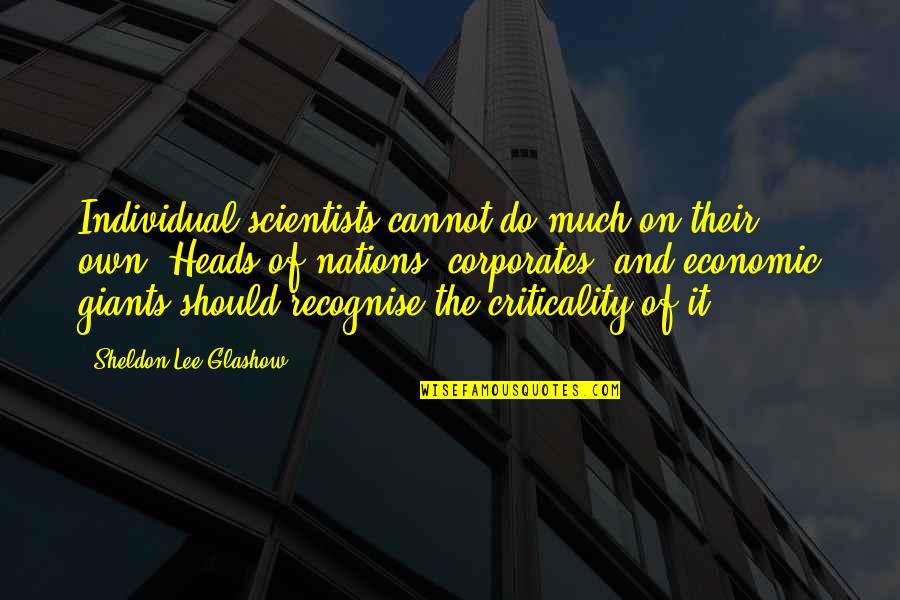 Criticality Quotes By Sheldon Lee Glashow: Individual scientists cannot do much on their own.