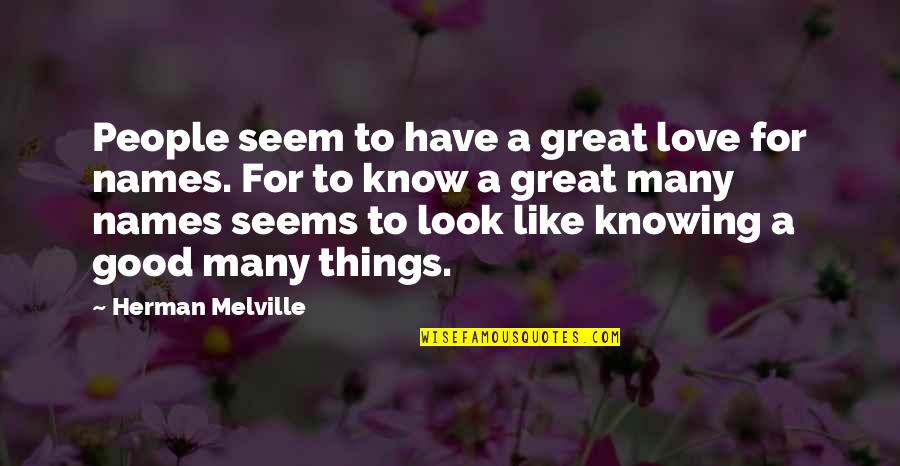 Criticism And Attitude Quotes By Herman Melville: People seem to have a great love for