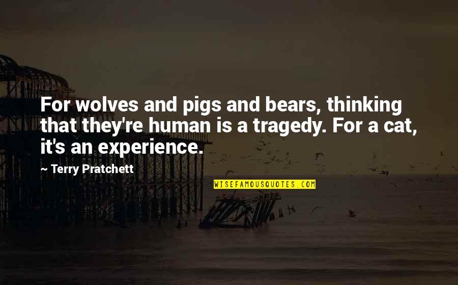 Critique Quote Quotes By Terry Pratchett: For wolves and pigs and bears, thinking that
