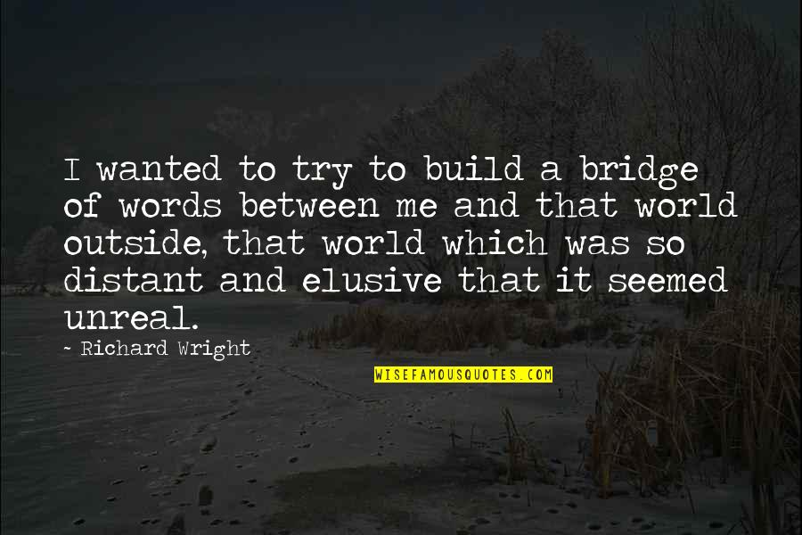 Critiqued Papers Quotes By Richard Wright: I wanted to try to build a bridge