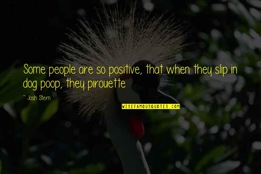 Critz Quotes By Josh Stern: Some people are so positive, that when they