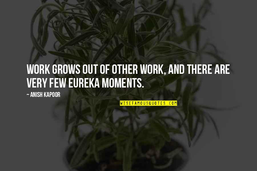 Crivo De Eratostenes Quotes By Anish Kapoor: Work grows out of other work, and there