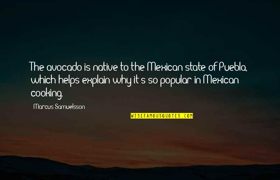 Crizal Lenses Quotes By Marcus Samuelsson: The avocado is native to the Mexican state