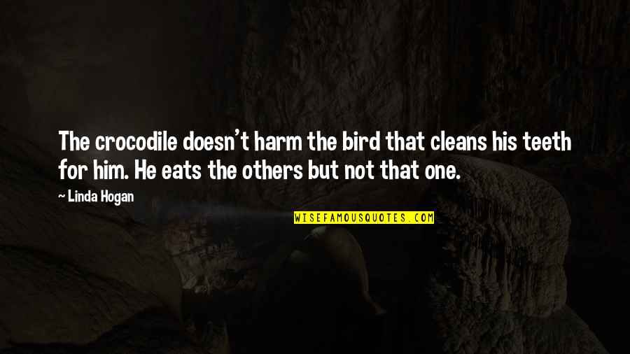 Crocodile Quotes By Linda Hogan: The crocodile doesn't harm the bird that cleans