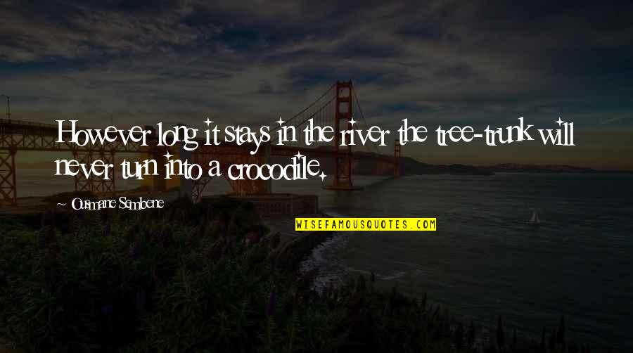 Crocodile Quotes By Ousmane Sembene: However long it stays in the river the