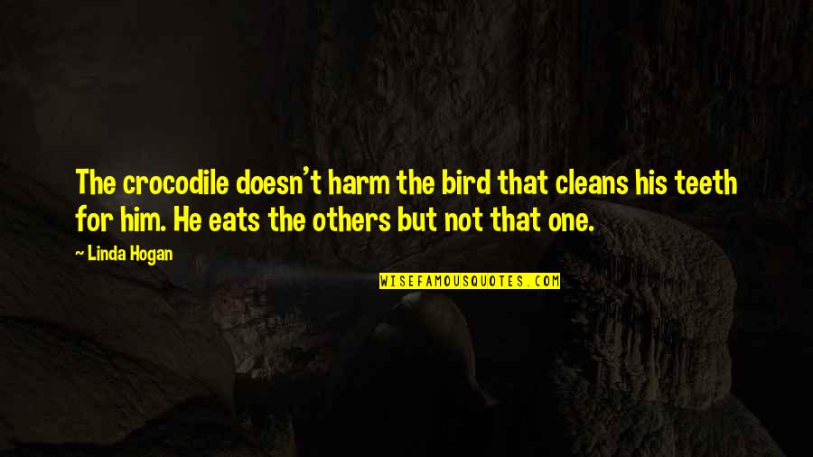 Crocodiles Quotes By Linda Hogan: The crocodile doesn't harm the bird that cleans