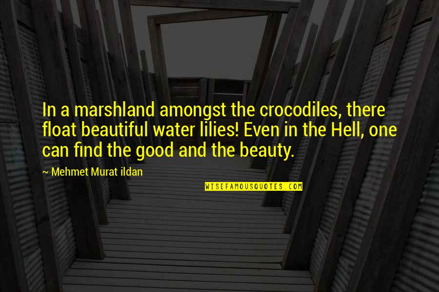 Crocodiles Quotes By Mehmet Murat Ildan: In a marshland amongst the crocodiles, there float