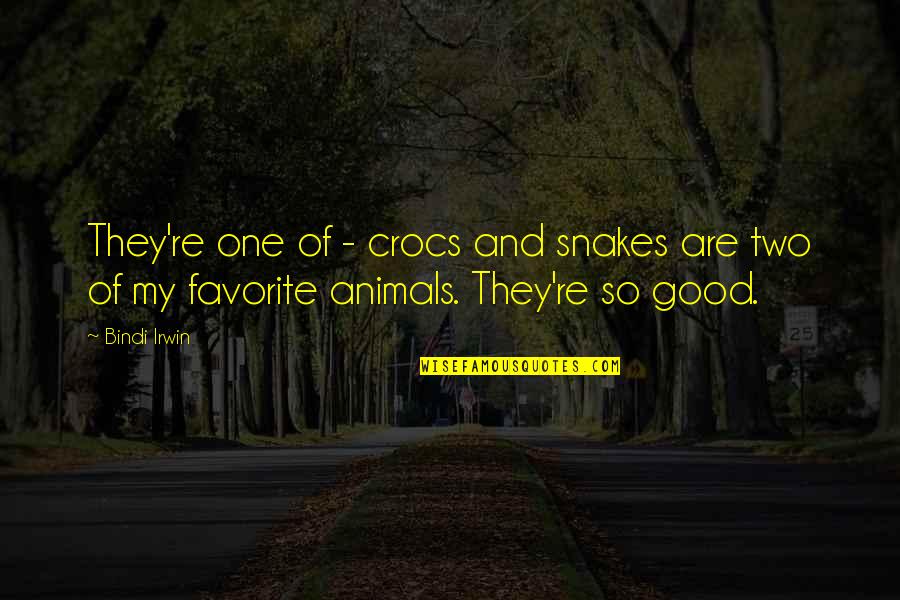 Crocs Quotes By Bindi Irwin: They're one of - crocs and snakes are