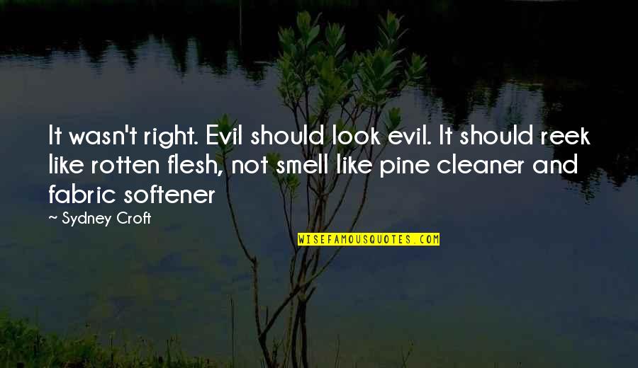 Croft Quotes By Sydney Croft: It wasn't right. Evil should look evil. It