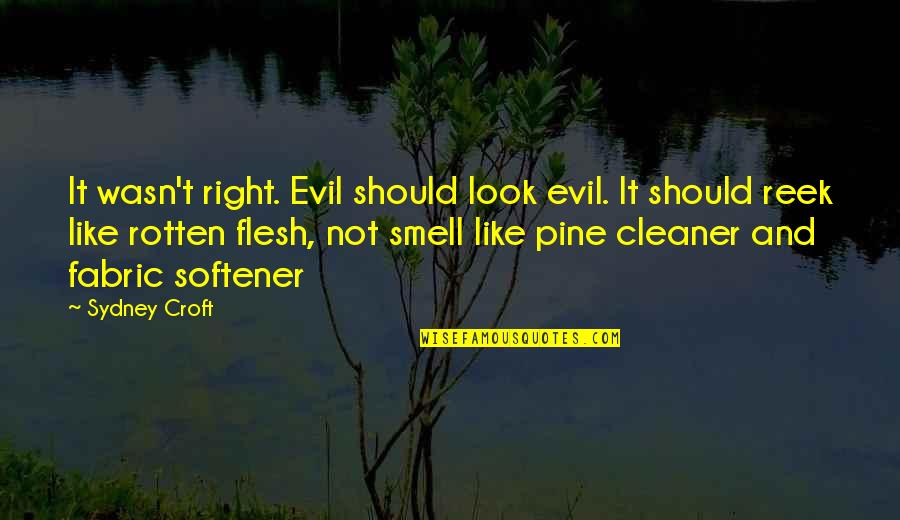 Croft's Quotes By Sydney Croft: It wasn't right. Evil should look evil. It