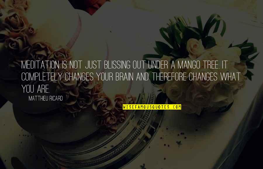 Crollare Quotes By Matthieu Ricard: Meditation is not just blissing out under a