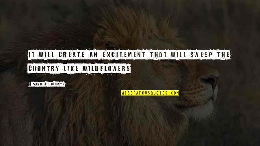 Crooked Trees Quotes By Samuel Goldwyn: It will create an excitement that will sweep