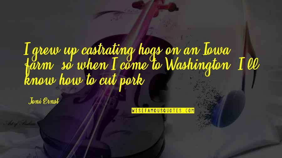 Crookshank Student Quotes By Joni Ernst: I grew up castrating hogs on an Iowa Crookshank Student Quotes By Joni Ernst: I grew up castrating hogs on an Iowa