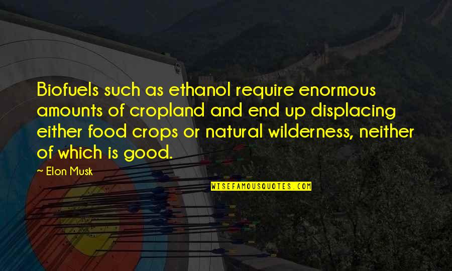 Cropland Quotes By Elon Musk: Biofuels such as ethanol require enormous amounts of