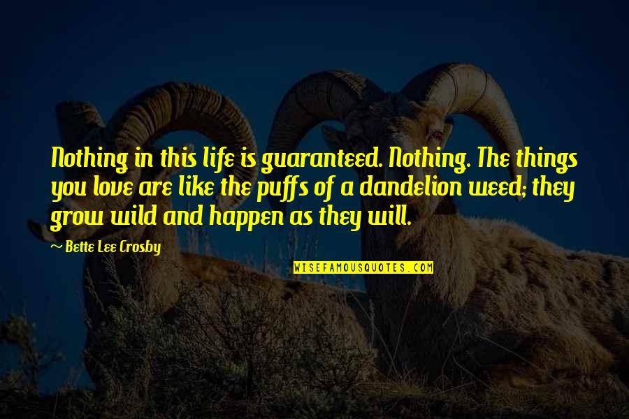 Crosby Quotes By Bette Lee Crosby: Nothing in this life is guaranteed. Nothing. The