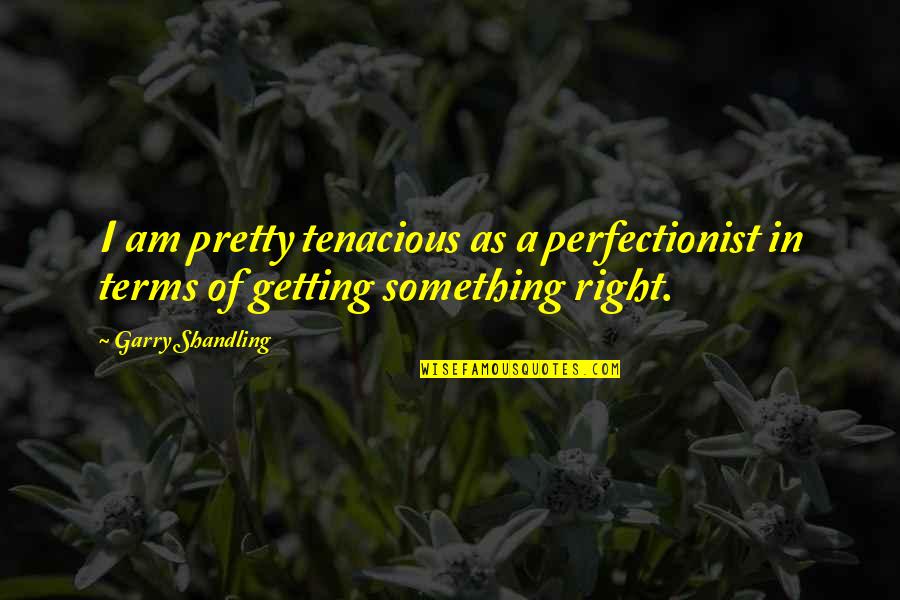 Crosier Quotes By Garry Shandling: I am pretty tenacious as a perfectionist in