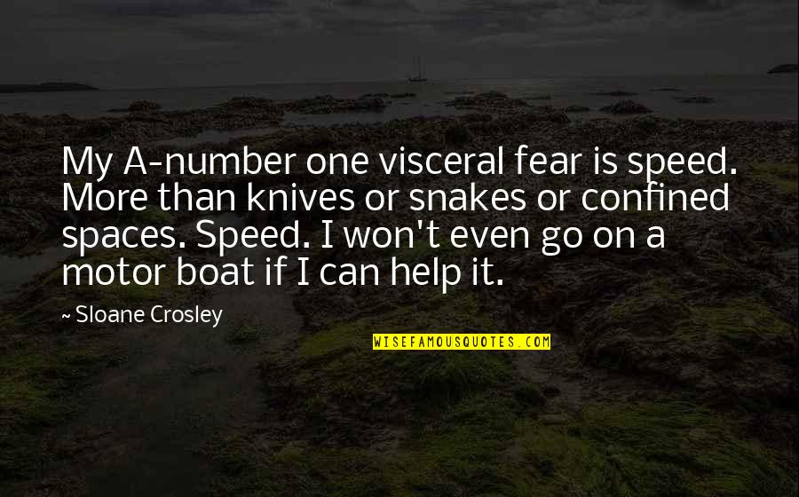 Crosley Quotes By Sloane Crosley: My A-number one visceral fear is speed. More