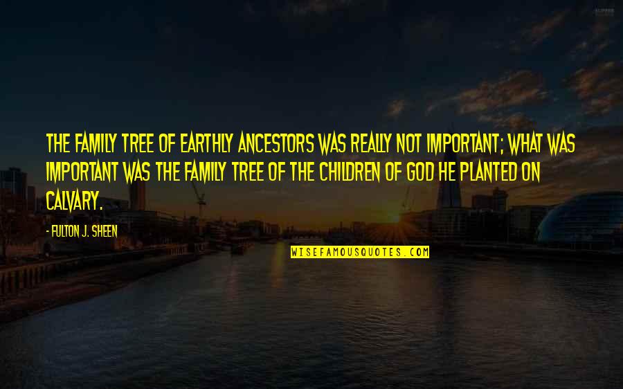 Cross Calvary Quotes By Fulton J. Sheen: The family tree of earthly ancestors was really